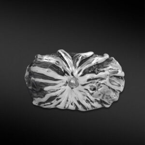 Angelim Kentious Silver Original S925 Silver Ring